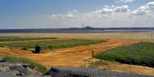 Rehabilitation trials on the surface of the Kidd Creek tailings